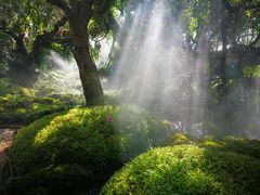 -Chom Cafe and Restaurant