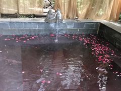 景点-黄山温泉国际旅游度假区