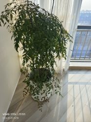 -HEYAN荷妍专业脱毛连锁机构