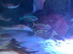 -沈阳海洋探索中心