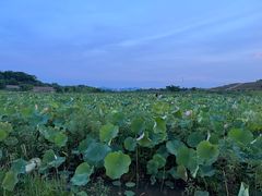 -幸福湖国际会议中心
