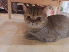 -万小咖.猫咖(中山路天虹店)