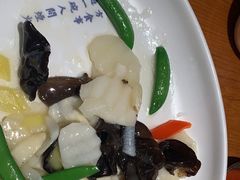 -宋小谨(惠安禹洲店)