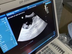 -瑞派名望24h动物医院异宠专科·猫专科·骨科·重症监护分院