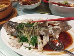 清蒸鲈鱼-眉州东坡(华联万柳店)