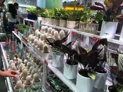 -KKV(深圳宏发大仟里店)