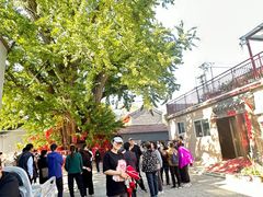 -康陵正德春饼宴26号