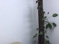 -新励成演讲口才培训(广州海珠学训中心)