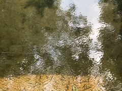 -西湖外事游船(花港观鱼码头)