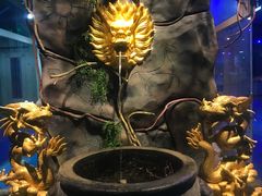 -太奥幻太奇海洋馆