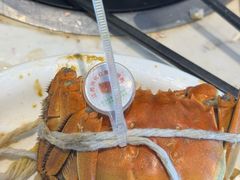 -半岛听涛蒸汽海鲜自助(K11店)