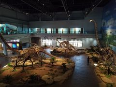 -自贡恐龙博物馆