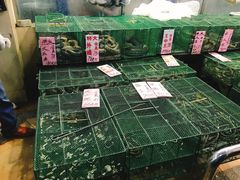 -荔城生鲜盛宴(番禺旗舰店)