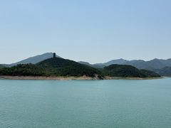 -望湖烤鱼