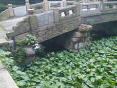 -无锡惠山寺