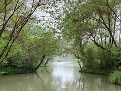 -西溪国家湿地公园