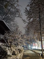 -巍阁高端月子会所