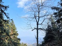 -天姥山