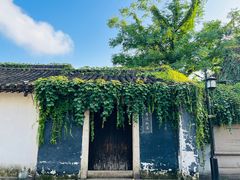 -绍兴鲁迅故里·沈园景区