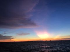 -CoCo都可(汇金大润发店)