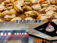 -龍歌自助小火锅(市南金茂湾店)