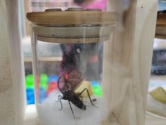 -三旗百汇商品城