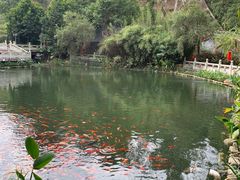-国恩寺