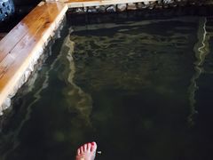 神农庄园温泉度假村-陆地游轮吉林神农温泉