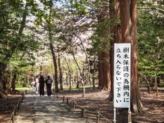 -北海道神宫