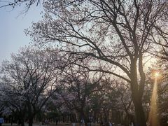 -二一九公园