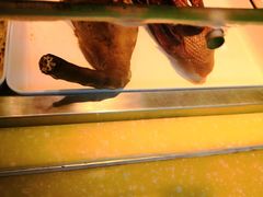 -紫燕百味鸡(牧电店)