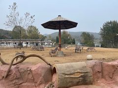 -大连森林动物园