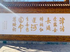 -桃花堤公园