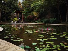 -中国科学院西双版纳热带植物园