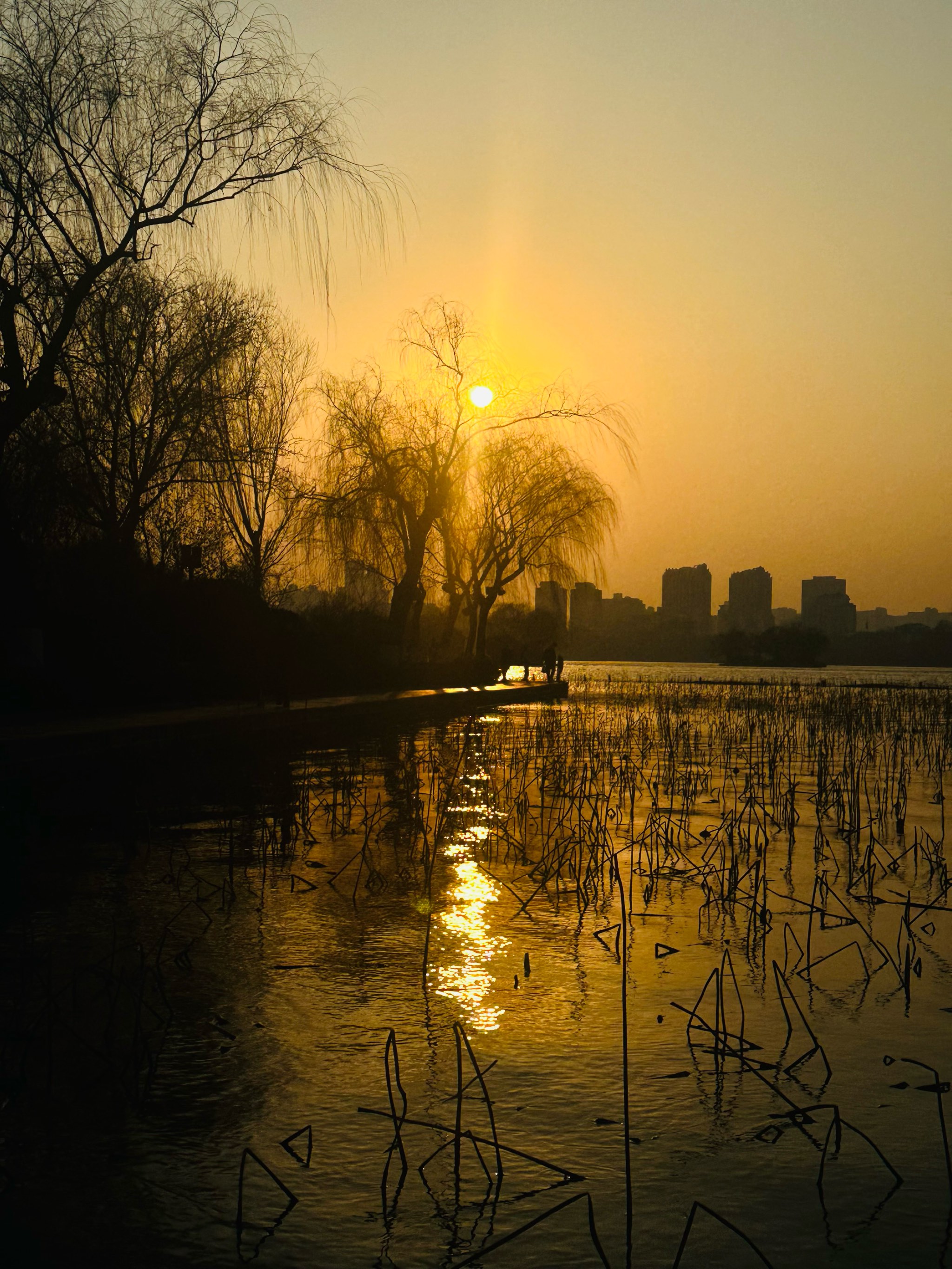 夕阳西下