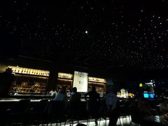 -STARRY CAFE & LOUNGE BAR(高新店)