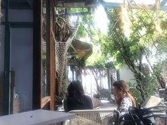 -喵屿·大理花园猫咖