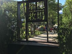 -瑞穗牧场