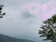 -王顺山国家森林公园