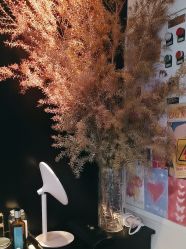 -玛莲朵·海菲秀冰珀科