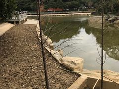 -广州市帽峰山景区