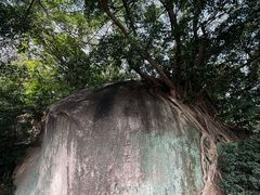 -草庵摩尼教遗址公园