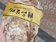 -俏东方·海味水饺·青岛菜(崂山店)