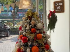 -echoes coffee回响咖啡(红山店)