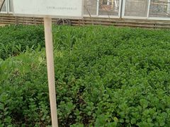 -天毓山庄·餐厅