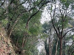 -杭州林泉山庄