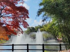 -上海共青森林公园