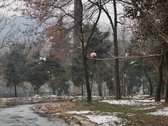 -终南山古楼观历史文化景区