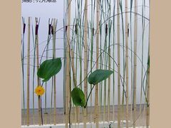 -FEI FEI FLOWER鲜花店·气球派对·宝宝宴布置(虹口德必运动Loft店)