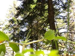 -硗碛藏寨·神木垒景区